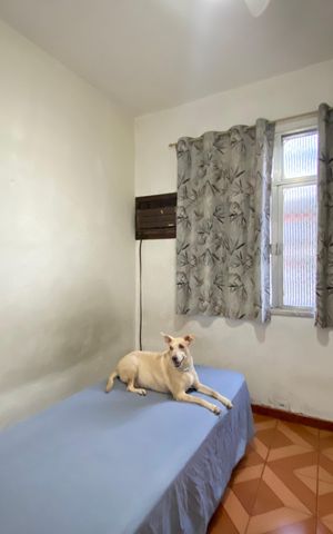 Apartamento à venda com 70m², 3 quartos e 1 vaga Apartamento à venda com 70m², 3 quartos e 1 vagaQuarto