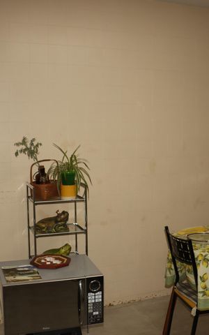 Casa à venda com 50m², 4 quartos e 1 vagaCozinha