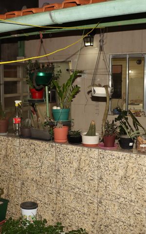 Casa à venda com 50m², 4 quartos e 1 vagaÁrea externa