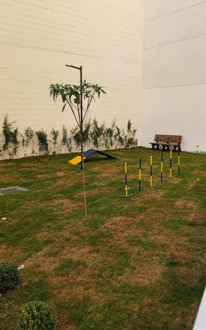 Apartamento para alugar com 53m², 2 quartos e 1 vaga Apartamento para alugar com 53m², 2 quartos e 1 vagaÁrea externa