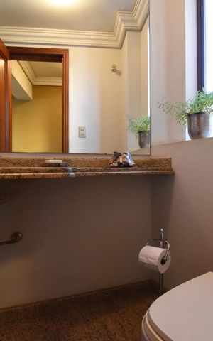 Apartamento à venda com 271m², 3 quartos e 3 vagasLavabo
