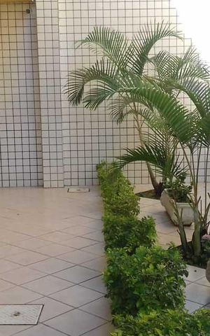 Casa de condomínio para alugar com 60m², 2 quartos e 1 vagaÁrea externa