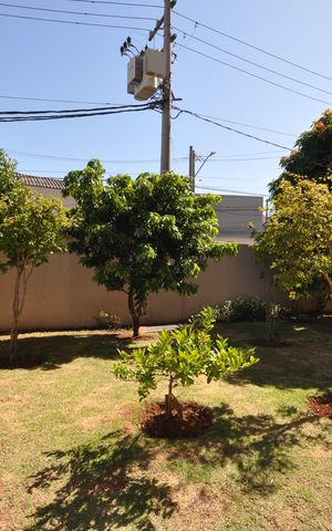 Apartamento à venda com 63m², 2 quartos e 1 vagaÁrea comum