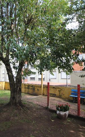 Apartamento à venda com 49m², 1 quarto e sem vagaCachorródromo 