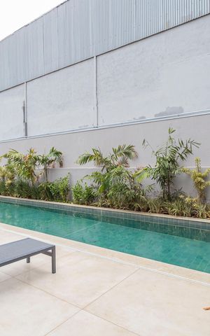 Apartamento para alugar com 50m², 2 quartos e sem vaga Apartamento para alugar com 50m², 2 quartos e sem vagaÁrea comum - Piscina