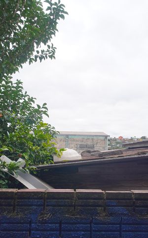 Casa à venda com 74m², 2 quartos e 1 vagaVista do Quarto 2