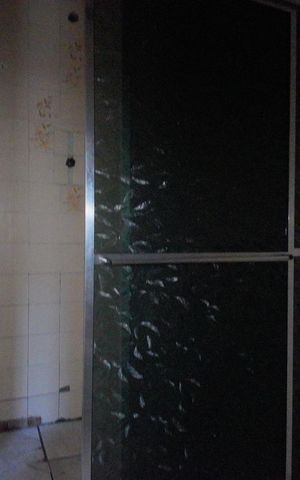 Casa para alugar com 60m², 1 quarto e 1 vagaBanheiro