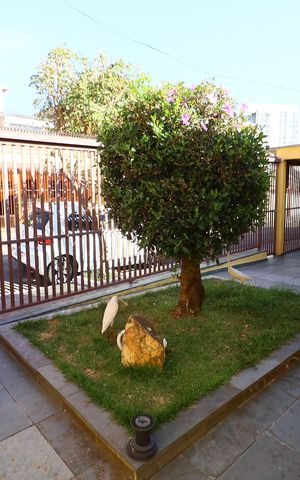 Casa à venda com 208m², 5 quartos e 4 vagasGaragem