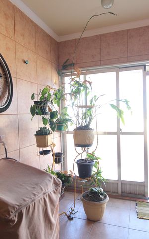 Apartamento à venda com 80m², 3 quartos e 2 vagasÁrea de serviço 