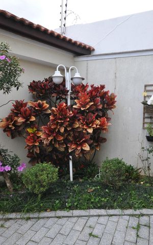 Casa à venda com 400m², 4 quartos e 5 vagasJardim