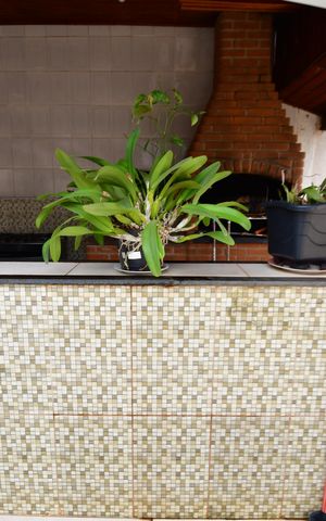 Casa à venda com 500m², 4 quartos e 6 vagasChurrasqueira