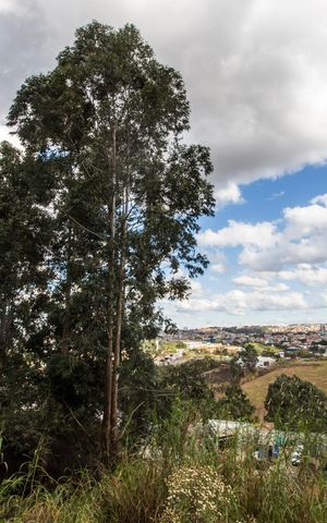 Apartamento à venda com 69m², 2 quartos e 1 vagaVista