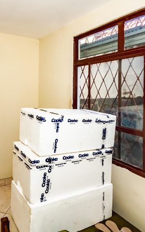 Casa à venda com 240m², 4 quartos e 2 vagasQuarto