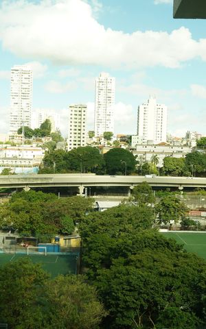 Apartamento para alugar com 47m², 2 quartos e sem vagaVista do Quarto 2