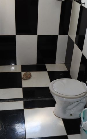 Casa à venda com 196m², 4 quartos e 3 vagasBanheiro da edícula