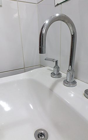 Apartamento para alugar com 44m², 1 quarto e 1 vagaBanheiro - torneira