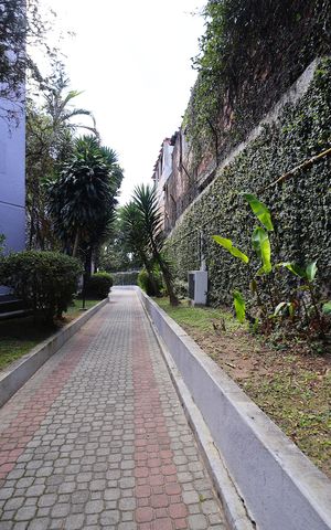 Apartamento à venda com 52m², 2 quartos e 1 vagaÁrea comum