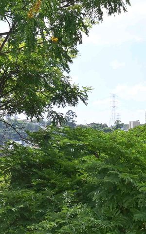 Apartamento para alugar com 125m², 3 quartos e 2 vagasVista do Quarto 2
