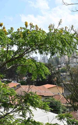 Apartamento para alugar com 125m², 3 quartos e 2 vagasVista da Suíte
