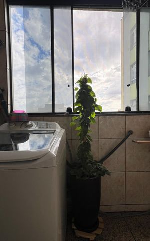 Apartamento à venda com 110m², 3 quartos e 2 vagas