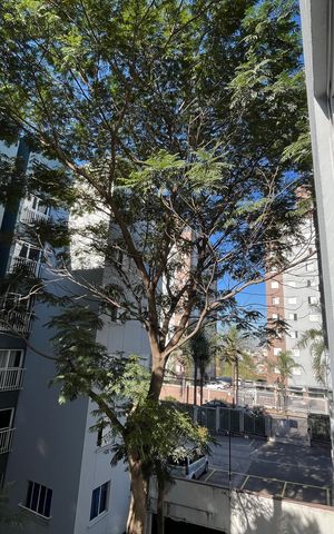 Apartamento para alugar com 56m², 2 quartos e 1 vaga Apartamento para alugar com 56m², 2 quartos e 1 vagaVista do Quarto 1