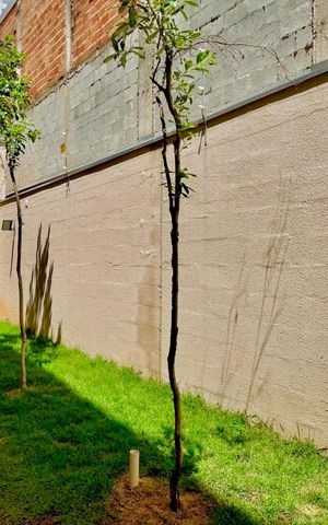 Apartamento à venda com 42m², 2 quartos e 1 vagaEspaço Pet