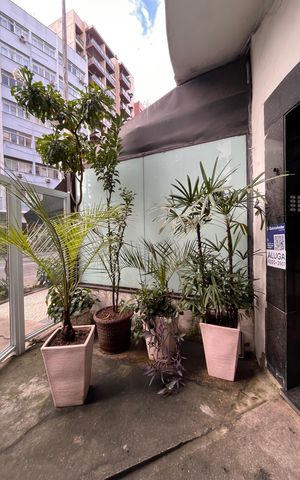 Apartamento para alugar com 79m², 2 quartos e sem vagaPlaca 