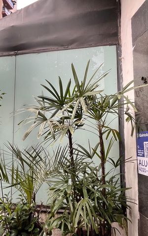 Apartamento para alugar com 79m², 2 quartos e sem vagaPlaca 