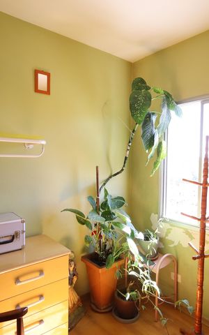 Apartamento à venda com 70m², 3 quartos e 2 vagasQuarto 2