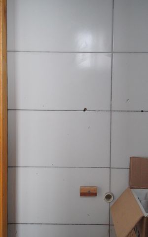Casa para alugar com 40m², 2 quartos e sem vagaBanheiro