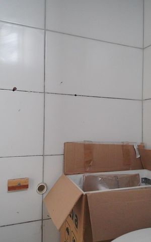 Casa para alugar com 40m², 2 quartos e sem vagaBanheiro