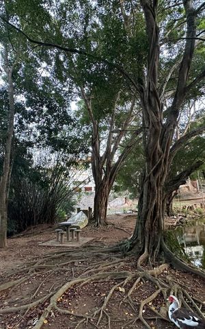 Casa de condomínio para alugar com 276m², 4 quartos e 4 vagas