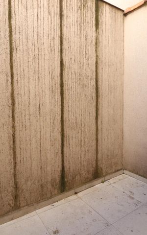 Studio para alugar com 30m², 1 quarto e sem vagaÁrea de Serviço