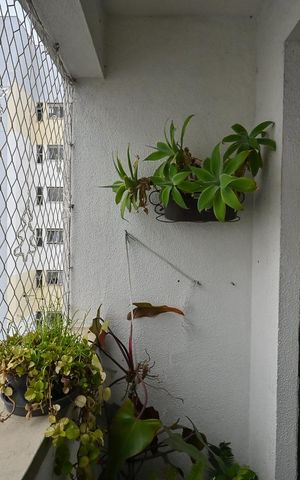 Apartamento para alugar com 54m², 2 quartos e 1 vagaVaranda