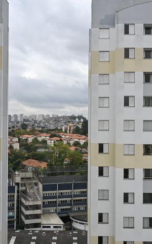 Apartamento para alugar com 54m², 2 quartos e 1 vagaVista do Quarto 1