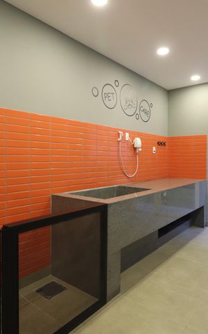 Apartamento para alugar com 42m², 2 quartos e sem vagaPet care