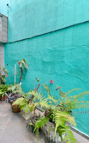 Casa à venda com 200m², 3 quartos e 4 vagas Casa à venda com 200m², 3 quartos e 4 vagasQuintal