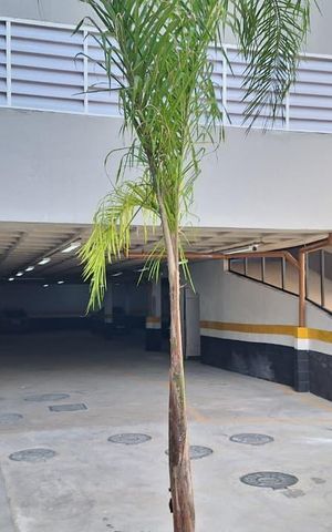 Apartamento para alugar com 38m², 2 quartos e sem vaga Apartamento para alugar com 38m², 2 quartos e sem vagaGaragem