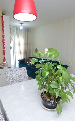 Apartamento para alugar com 45m², 2 quartos e sem vaga Apartamento para alugar com 45m², 2 quartos e sem vagaSala de Jantar