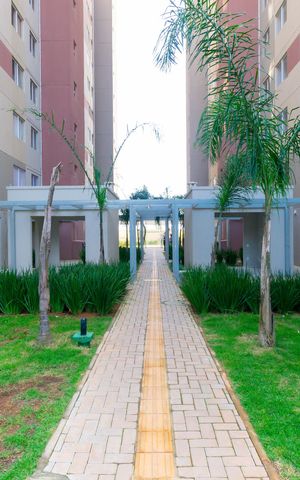 Apartamento para alugar com 35m², 2 quartos e sem vaga Apartamento para alugar com 35m², 2 quartos e sem vagaÁrea Comum