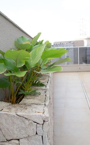 Apartamento para alugar com 570m², 3 quartos e 4 vagas Apartamento para alugar com 570m², 3 quartos e 4 vagasÁrea comum