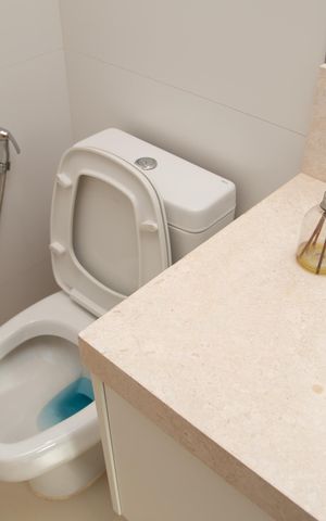 Apartamento para alugar com 570m², 3 quartos e 4 vagas Apartamento para alugar com 570m², 3 quartos e 4 vagasBanheiro da Suíte 3