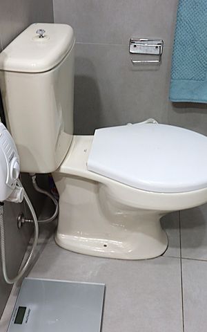 Apartamento à venda com 207m², 3 quartos e 1 vagaBanheiro da Suíte