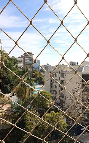 Apartamento à venda com 207m², 3 quartos e 1 vagaVista da Sala de TV