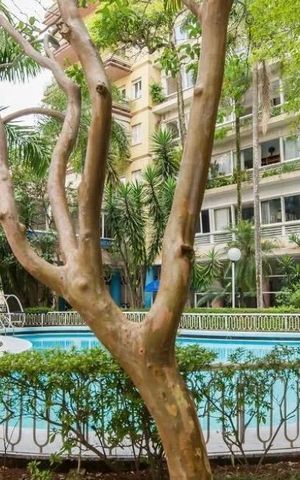 Apartamento para alugar com 160m², 3 quartos e 2 vagas