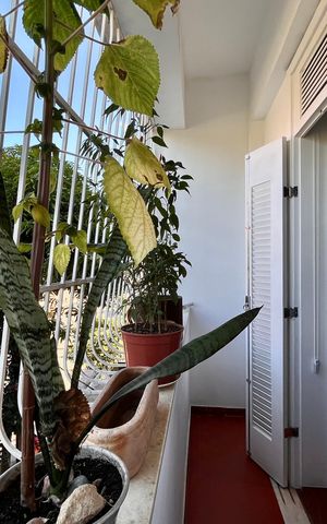 Apartamento à venda com 120m², 3 quartos e 2 vagas Apartamento à venda com 120m², 3 quartos e 2 vagasVaranda da suíte