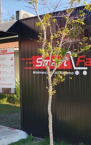 Apartamento para alugar com 47m², 2 quartos e 1 vaga Apartamento para alugar com 47m², 2 quartos e 1 vagaMercado