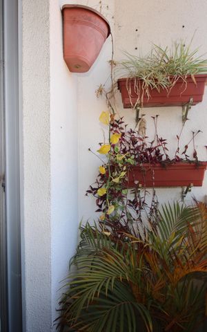 Apartamento para alugar com 48m², 2 quartos e 1 vagaVaranda