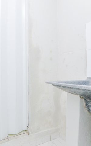 Casa para alugar com 60m², 1 quarto e sem vagaBanheiro