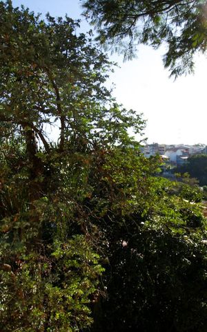 Apartamento para alugar com 46m², 2 quartos e 1 vaga Apartamento para alugar com 46m², 2 quartos e 1 vagaVista do Quarto 1